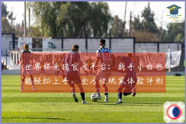 世界杯竞猜官方平台：新手小白也能轻松上手，全方位玩家体验评测分享